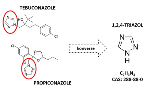 1,2,4-triazol: (Ne)známý relevantní metabolit ve vodách?