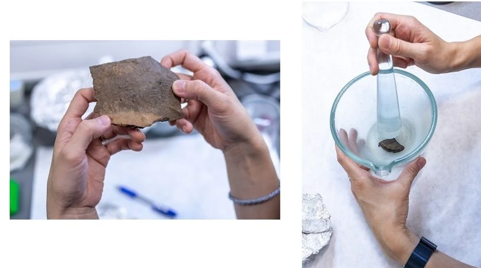 The Czech Academy of Sciences/Jana Plavec: Veronika Brychová with an ancient ceramic vessel. During the cooking process, most of the fat would end up embedded in the ceramic wall below the brim of the pot. It’s necessary to break the cleaned fragment into pieces and then ground it into a powder.
