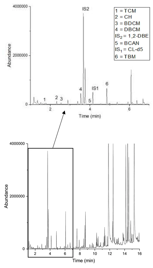 Advances in Sample Preparation, Volume 14, 2025, 100168: Fig. 4. Typical HS-HiSorb-TD-GC-MS– chromatogram of a tap water sample