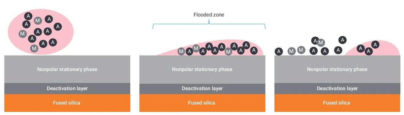 Agilent: Obrázek 4. Příklad toho, jak se zvětšuje flooded zóna a jak může být odpařování rozpouštědla ovlivněno nesouladem polarity rozpouštědla a polarity stacionární fáze kolony