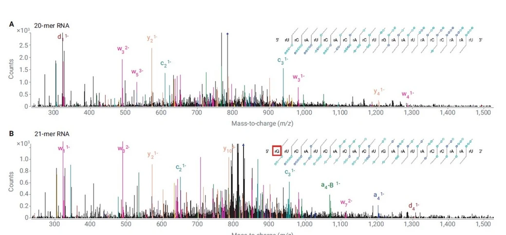 Altium: Příklad LC/MS/MS spektra 20-meru and 21-meru RNA se zobrazením nalezených typů fragmentů