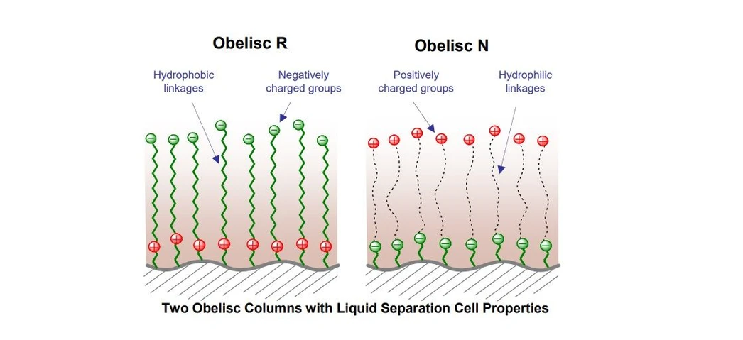 Altium International: HPLC kolony Obelix R,N