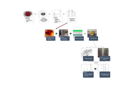 Can NMR-HetCA be a Reliable Prediction Tool for the Direct Identification of Bioactive Substances in Complex Mixtures?