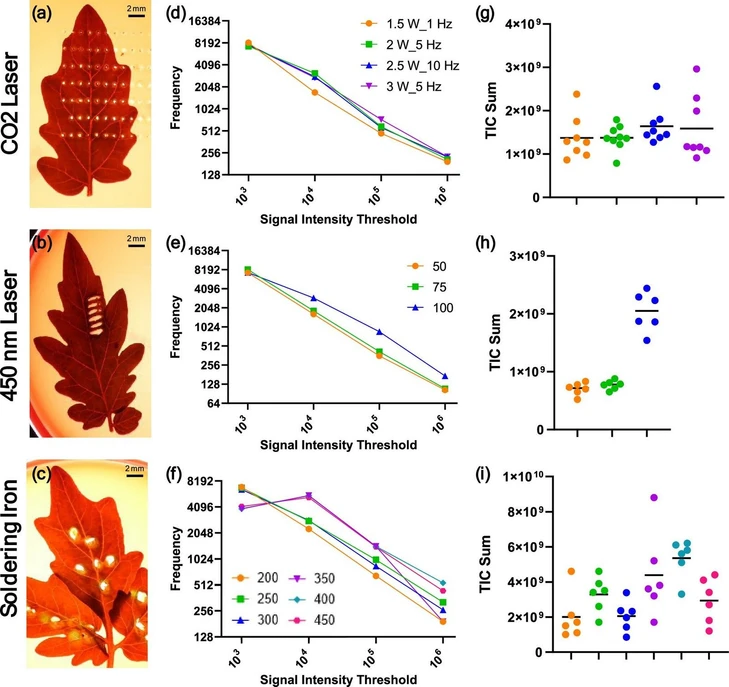 Anal. Chem. 2025, 97, 27, 14230–14238: Figure 1. Optimization of three heating modalities for the plant leaves. Heating optimization was completed using different combinations of operating conditions for each heating modality tested. For the CO2 laser, a selection of the highest performing conditions is given, with all available in Supporting Figure S1. For each of the CO2 laser, 450 nm laser, and soldering iron respectively, panels (a–c) give a representative image of a leaf postanalysis with each modality with 2 mm scale bar; (d–f) show the number of features identified above a set threshold of intensity; and (g–i) show the total ion count intensity. The color legends are shared between panels for each heating modality.