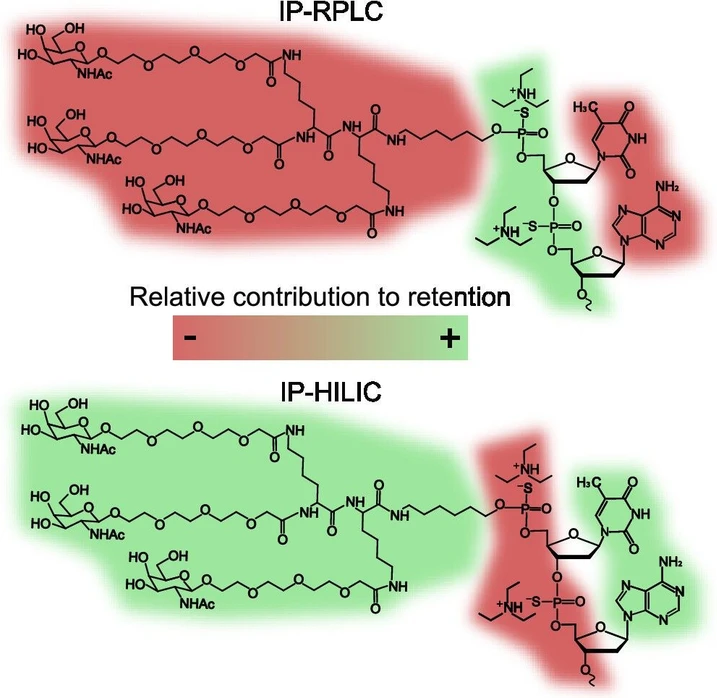Anal. Chem. 2025, 97, 29, 15717–15726: Figure 1. Schematic representation of the effect of IPRs on the eluent for ONs separation in RPLC and HILIC.
