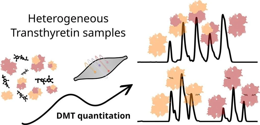 <p>Anal. Chem. 2025, 97, 49, 27057–27063: Graphical abstract</p>