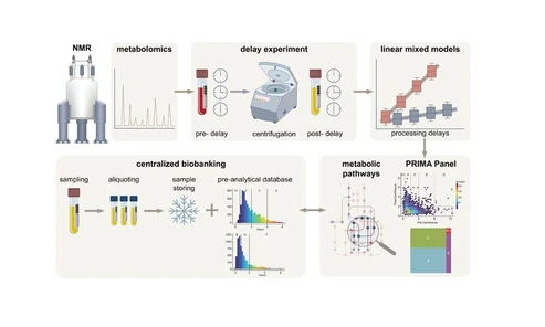 Validating Centralized Biobanking Workflows for NMR Metabolomics Using the PRIMA Panel