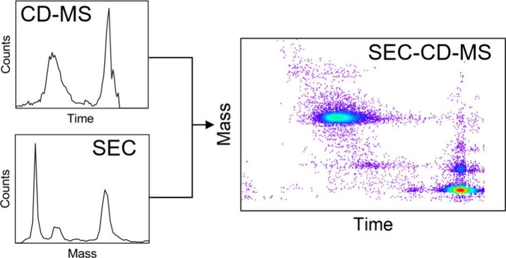 <p><i><span>Anal. Chem.</span></i> <span>2025, 97, 5, 3036–3044: </span><span property="headline">Coupling of Size Exclusion Chromatography to High Throughput Charge Detection Mass Spectrometry for the Analysis of Large Proteins and Virus-like Particles</span></p>