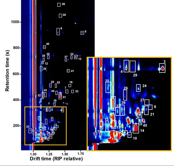 Anal. Chem. (2026): Figure 2: GC-IMS topographic plot of the VOO sample analyzed. A total of 167 features were located. Legend: 1, butan-2-one (D); 2, pentan-2-one (D); 3, hexanal (D); 4, hexanal (M); 5, nonanal (D); 6, nonanal (M); 7, hexan-1-ol (D); 8, ethyl propanoate (D); 9, ethyl propanoate (M); 10, butanal (D); 11, diacetyl (D); 12, 6-methyl-5-hepten-2-one (M); 13, octanal (D); 14, ethyl acetate (D); 15, ethyl acetate (M); 16, 2-methylpyrazine (D); 17, acetic acid (D); 18, acetic acid (M); 19, heptanal (D); 20, heptanal (M); 21, pentanal (D); 22, pentanal (M); 23, 1-penten-3-ol (before RIP); 24, trans-penten-2-al (D); 25, trans-penten-2-al (M); 26, 3-methylbutan-1-ol (M); 27, methyl butanoate (D); 28, benzaldehyde (M); 29, 3,3-dimethylbutan-1-ol (M); 30, nonan-1-ol (M); 31, 2-hexen-1-ol (D); 32, 2-hexen-1-ol (M); 33, 3-methylbutyl acetate (D); 34, 1,8-cineole (D); 35, 1,8-cineole (M); 36, 2,3-pentanedione (M); 37, β-pinene (D); 38, β-pinene (M); 39, decan-2-one (M); 40, 2,5-dimethyl-4-hydroxy-3[2H]-furanone (M); 41, hexanoic acid (D); 42, ethenyl benzene (D); 43, cis-3-hexen-1-ol (M), 44: styrene (M), 45: butan-1-ol (D).