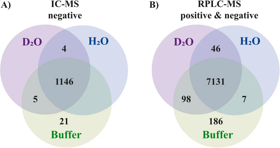 Analytica Chimica Acta, Volume 1356, 2025, 343979: Fig. 6. Venn diagrams for the individual analytical techniques (A) IC-MS (neg. ionisation mode); (B) RPLC-MS (neg. and pos. ionisation mode); show the overlap of compound-features for the various tested extractions (Milli-Q water, deuterated water, aqueous deuterated phosphate buffer). Note: As each method targets different physiochemical properties of the metabolome, the total number of detected compound-features varies considerably between the methods.
