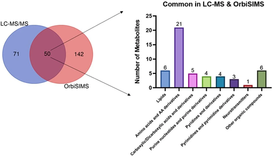 Anal. Chem. 2024, 96, 29, 11760-11770: Figure 3. Venn diagram of identified metabolites in LC-MS/MS compared with putatively annotated metabolites in OrbiSIMS, in which 50 metabolites are commonly detected from both LC-MS/MS and OrbiSIMS.