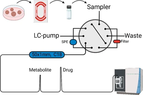 An FDA-Validated, Self-Cleaning Liquid Chromatography–Mass Spectrometry System for Determining Small-Molecule Drugs and Metabolites in Organoid/Organ-on-Chip Medium