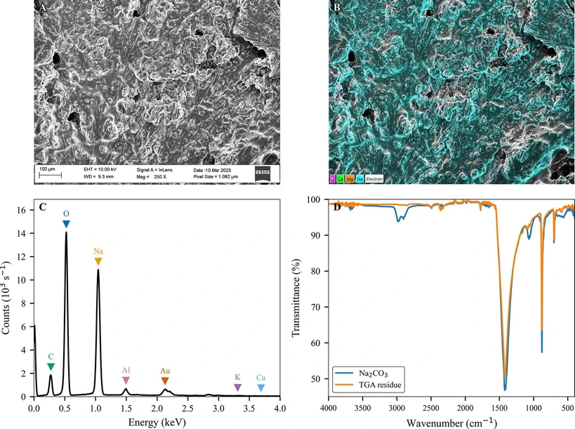 Biomacromolecules 2025, 26, 11, 7767–7777: Figure 4. Characterization of Na2CO3 in the TGA residue. (A) SEM image showing the surface morphology of the sample after thermal degradation, with visible inorganic crystalline structures. (B) EDX elemental mapping highlighting the distribution of Na+ (cyan), confirming the widespread presence of Na2CO3. (C) EDX spectrum of the residue showing major elemental peaks for Na+, consistent with the composition of Na2CO3. (D) FTIR spectra comparing commercial Na2CO3 with the TGA residue, showing matching characteristic peaks and confirming the identity of the residue as Na2CO3.