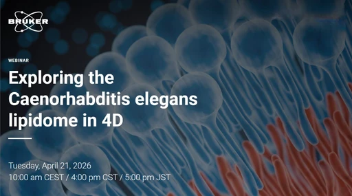 Exploring the Caenorhabditis elegans lipidome in 4D