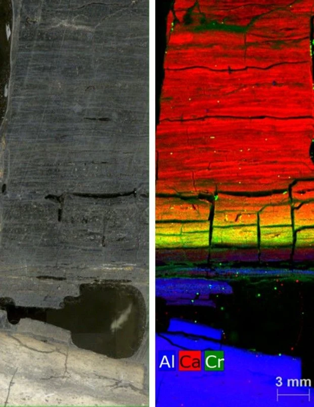 Bruker: Sediments recording the last mass extinction at the end of the cretaceous.