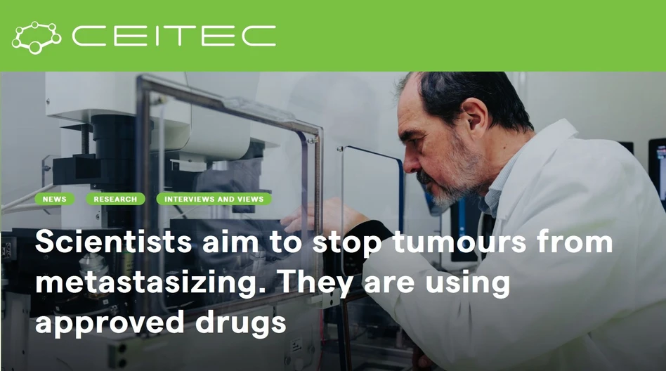 <ul><li><strong>Photo: </strong>CEITEC: Scientists aim to stop tumours from metastasizing. They are using approved drugs.</li></ul>