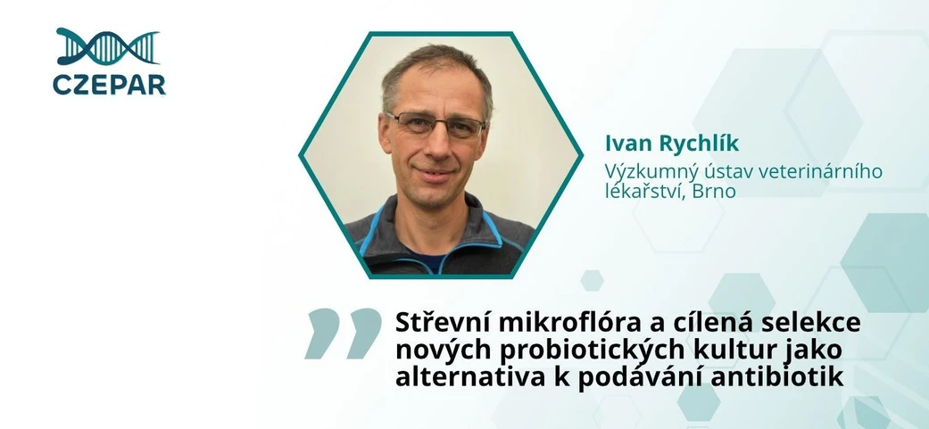 CZEPAR 2025: Střevní mikroflóra a cílená selekce nových probiotických kultur jako alternativa k podávání antibiotik (Prof. RNDr. Ivan Rychlík  Ph.D.)