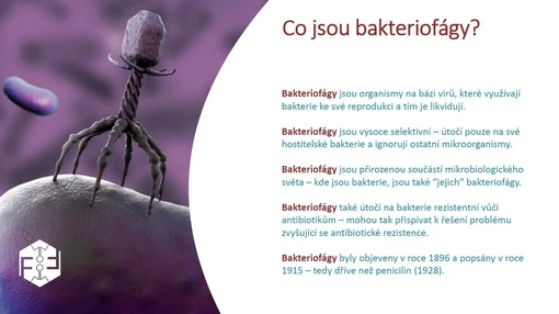 Bakteriofágy jako alternativa v léčbě rezistentních infekcí: první zkušenosti v ČR a další vývoj