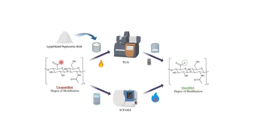 Quantitative Assessment of Chemical Modifications of Macromolecules through Counterion Measurement