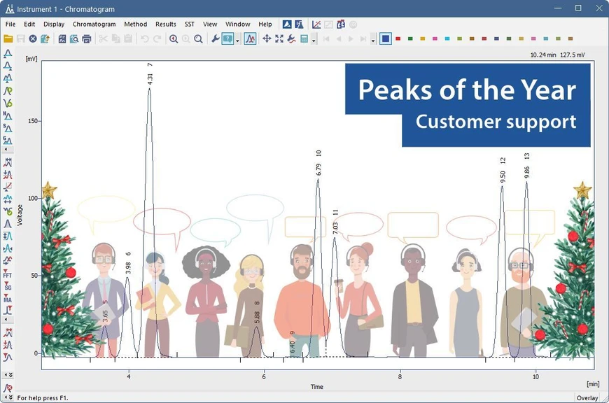 DataApex: Peaks of the Year - Customer support