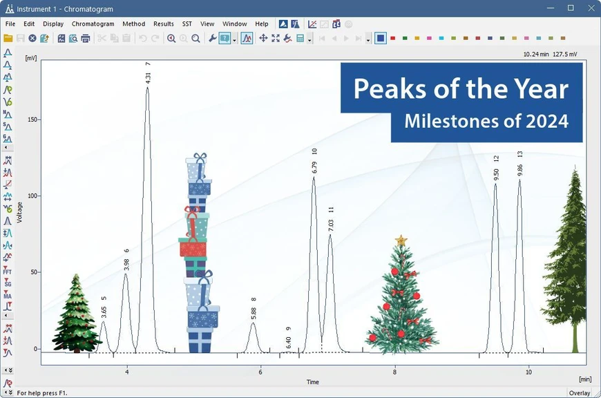 DataApex: Peaks of the Year: Milestones of 2024