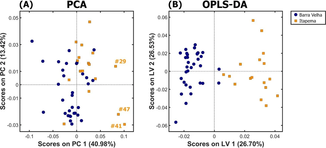 Energy Fuels 2025, 39, 15, 7204–7213: Figure 2. Score plot of (A) PCA model applied to distinguish crude oils showing the identification of the three highly contaminated samples (#29, #41, and #47). (B) OPLS-DA model applied for sample classification. Itapema formation is represented by orange squares and Barra Velha by blue circles.