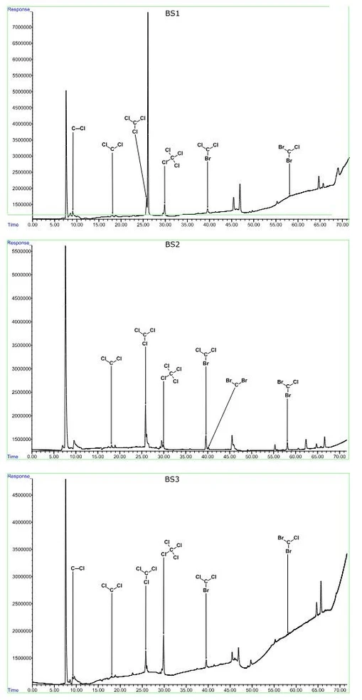 Environ. Sci. Technol. Lett. 2025: Figure SI2/7. Chromatograms of the volatile phase obtained from methanol extracts of TS1 (GC-ECD, SPME).