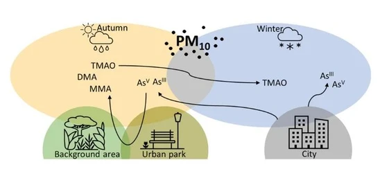 Seasonal and spatial variations of arsenic and its species in particulate matter in an urban environment of Brno, Czech Republic