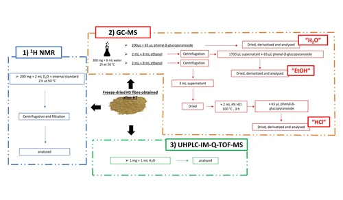 A multiplatform metabolomics/reactomics approach as a powerful strategy to identify reaction compounds generated during hemicellulose hydrothermal extraction from agro-food biomasses