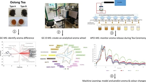 Development of analytical “aroma wheels” for Oolong tea infusions (Shuixian and Rougui) and prediction of dynamic aroma release and colour changes during “Chinese tea ceremony” with machine learning