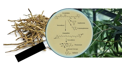 Mechanisms of aroma compound formation during the drying of Dendrobium nobile stems (Shihu)