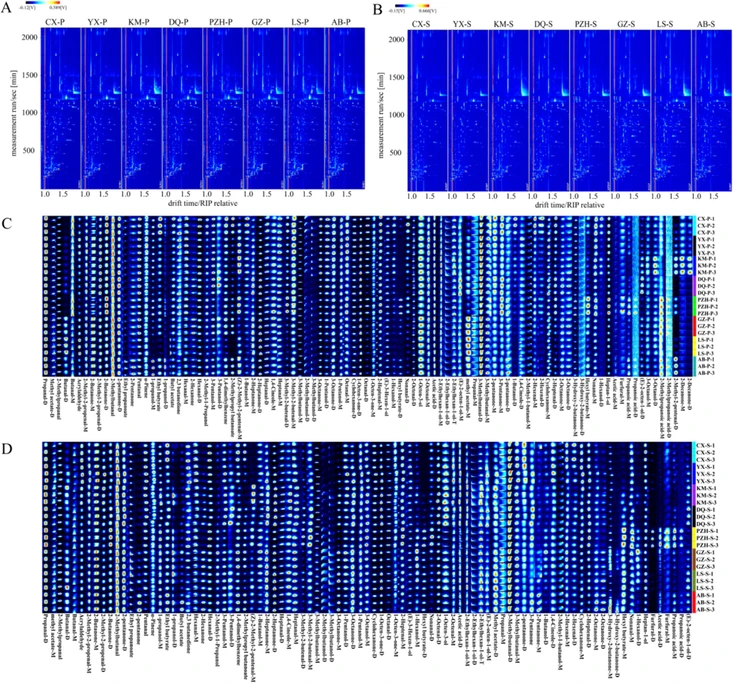Food Chemistry-X 2024, 23, 101601: Fig. 3. Two-dimensional chromatogram results of VOCs in pileus (A) and stipe (B). Fingerprints of VOCs characterized in Boletus edulis of pileus (C) and stipe (D).