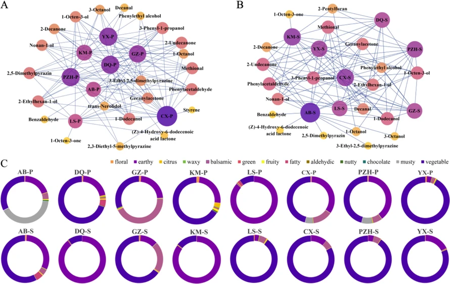 Food Chemistry-X 2024, 23, 101601: Fig. 6. Network analysis plot of correlation between regions and key VOCs (OAV > 1) of pileus (A) and stipe (B). (C) Odor ring charts of aroma types of pileus and stipe.