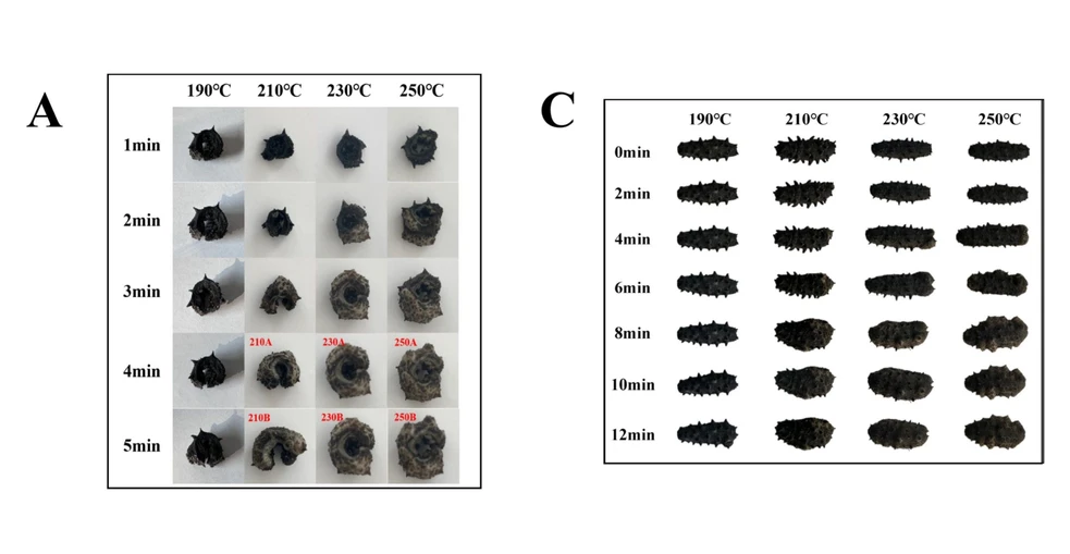 <ul><li><strong>Photo:</strong> <cite>Food Chemistry: X</cite> <strong>2024</strong>, <i>23</i>, 101709: <span id="ca0005">Fig. 1. (A) Physical image of lump puffed sea cucumber. (C) Physical image of whole puffed sea cucumber.</span></li></ul>