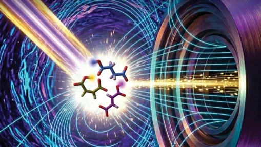 Proton sharing in polycarboxylic acids in aqueous solution