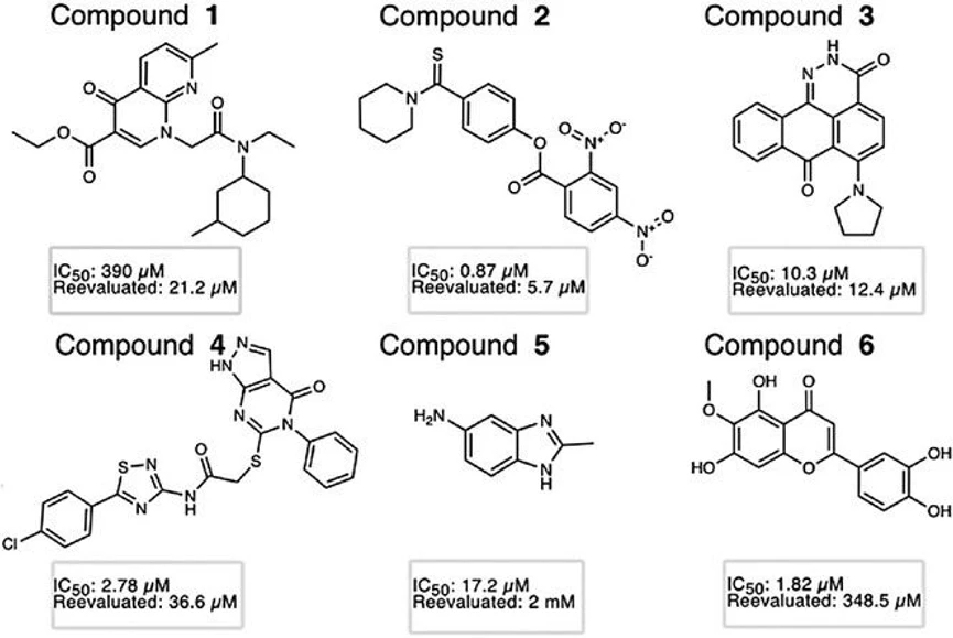 IOCB Prague: Hunting enzymes in the membrane: A new strategy to inhibit rhomboid proteases: Chemical structures of the 6 final compounds selected for further characterization with favorable inhibition profiles on FL GlpG.