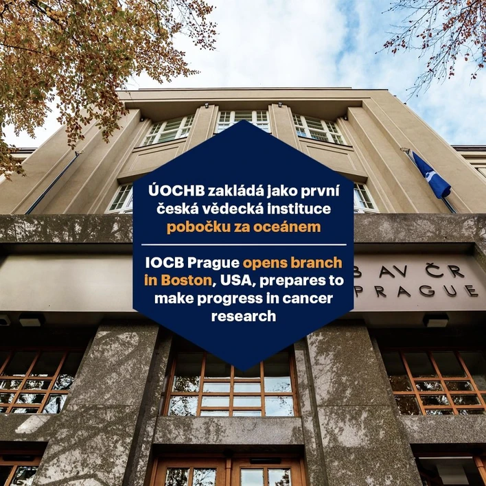<ul>
<li><strong>Photo:</strong> IOCB Prague: IOCB Prague opens branch in Boston, USA, prepares to make progress in cancer research</li>
</ul>