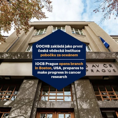 IOCB Prague opens branch in Boston, USA, prepares to make progress in cancer research