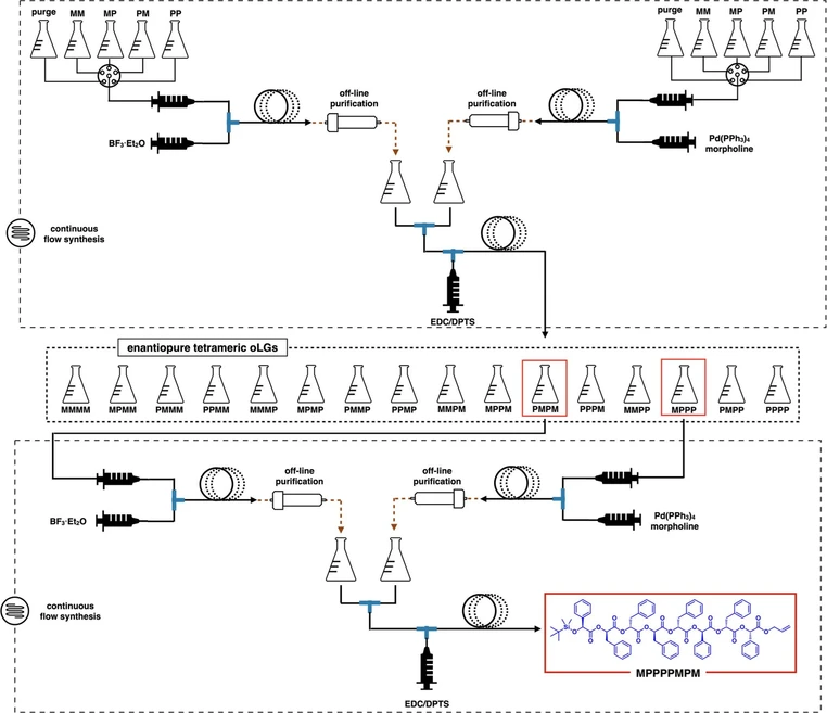 JACS Au 2022, 2, 9, 2108-2118: Figure 1. Flow chemistry for encoding 8-bit information in sequence-defined oMPs. A continuous flow synthesis of four dyads yielded 16-tetrad library. Subsequently, a sequence-defined octameric oMP, MPPPPMPM, could be obtained by cross convergence of MPPP and PMPM using a semiautomated flow system.