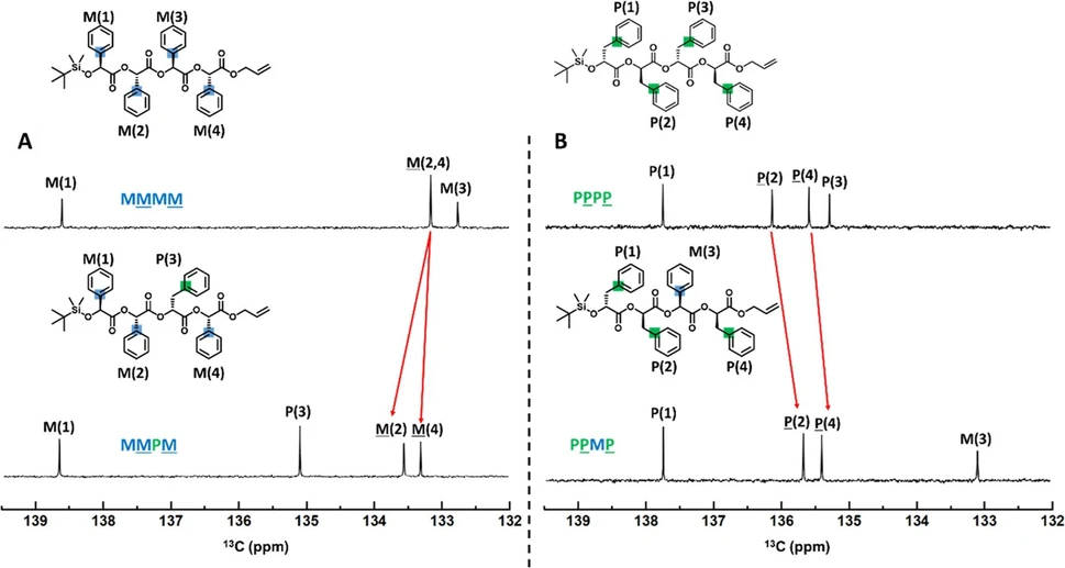 JACS Au 2022, 2, 9, 2108-2118: Figure 2. 13C NMR spectra of homotetrads and heterotetrads of M and P units. (A) 13C NMR spectra of MMMM and MMPM. The overlapped ipso-carbons of M units at positions 2 and 4 (133.16 ppm) were deshielded (133.55 and 133.30 ppm, respectively) when neighboring with the P unit. (B) 13C NMR spectra of PPPP and PPMP. The ipso-carbons of P units at positions 2 and 4 (136.13 and 135.58 ppm, respectively) were shielded (135.67 and 135.39 ppm, respectively) when neighboring with the M unit.