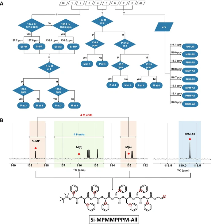 JACS Au 2022, 2, 9, 2108-2118: Figure 3. NMR sequencing of octameric oMPs. (A) Decoding diagrams of sequence-defined octameric oMPs. (B) Decoding of octameric oMPs based on the 13C NMR spectrum and deciphered chemical structure of oMP. Red circles indicate the chemical shift that should be checked for sequencing.