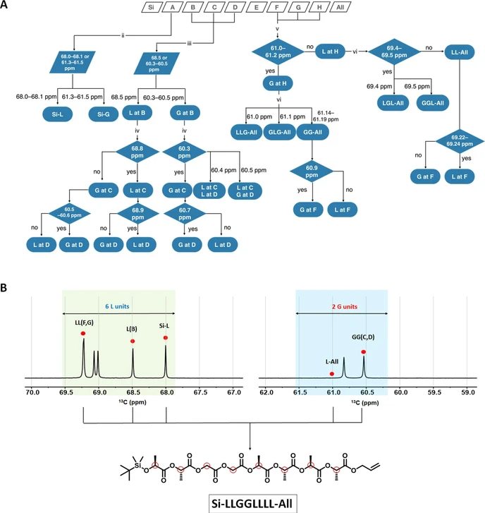 JACS Au 2022, 2, 9, 2108-2118: Figure 4. NMR sequencing of octameric oLGs. (A) Decoding diagrams of sequence-defined octameric oLGs. (B) Decoding of octameric oLGs based on the 13C NMR spectrum and the deciphered chemical structure of oLG. Red circles indicate the checkpoint for sequencing.