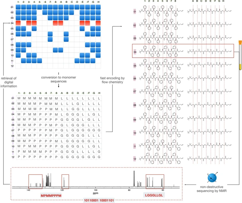 JACS Au 2022, 2, 9, 2108-2118: Figure 5. Encoding and decoding process of enantiopure oligoesters. The converted bitmap image was encoded into 12 sets of sequence-defined octameric oMP and oLG by a semiautomated flow process. Nondestructive decoding of the 04 mixture revealed the absolute sequence of oMP and oLG, which could be retrieved to digital information (highlighted to a red rectangles in a bitmap image).