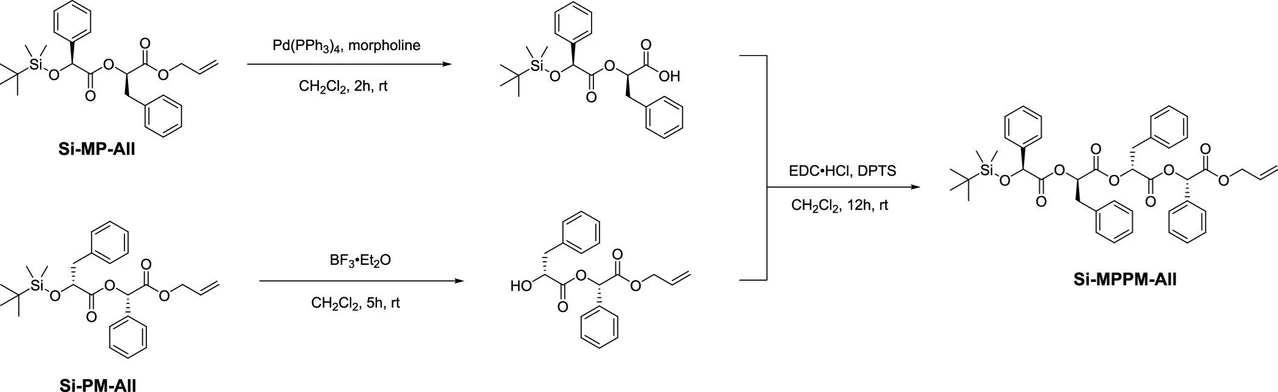 JACS Au 2022, 2, 9, 2108-2118: Scheme 1. Synthesis of Sequence-Defined Oligoesters.