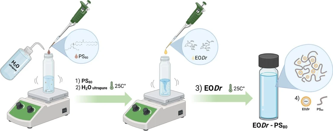 J. Agric. Food Chem. 2025, 73, 31, 19327–19339: Figure 1. General scheme for the preparation of EODr-PS80 nanoformulations.