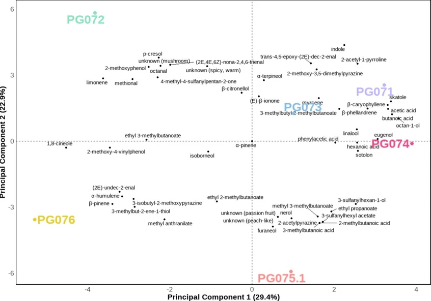 J. Agric. Food Chem. 2025, 73, 38, 24314–24325: Figure 3. Principal component analysis of odor-active compounds in dried hemp flowers. Odor attributes corresponding to each compound are provided in Table 1.