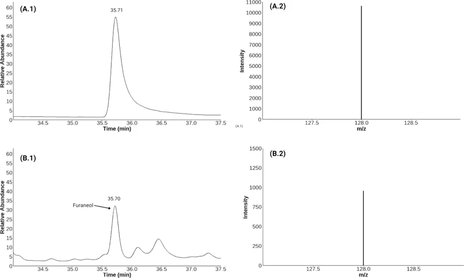 J. Agric. Food Chem. 2025, 73, 38, 24314–24325: Figure 4. Detection of furaneol in PG074 cultivar via GC-GC-MS analysis: (A.1) Retention time and (A.2) mass spectrum (m/z 128) of furaneol reference standard; (B.1) Peak in the chromatogram and (B.2) mass spectrum matching furaneol (m/z 128) in the hemp cultivar extract.