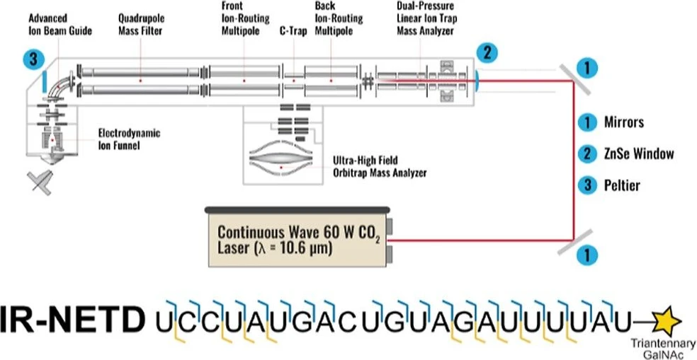 <p>J. Am. Soc. Mass Spectrom. 2026, 37, 1, 301–309: Graphical abstract</p>