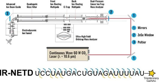 Implementation of Infrared-Activated Negative Electron Transfer Dissociation (IR-NETD) Using Xenon on a Quadrupole-Orbitrap-Quadrupole Linear Ion Trap Mass Spectrometer