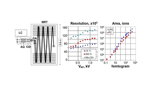A Novel Compact Multi-Reflecting Time-of-Flight Mass Spectrometer
